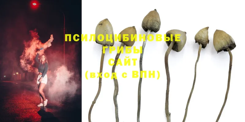 Галлюциногенные грибы MAGIC MUSHROOMS  магазин продажи   mega рабочий сайт  Белозерск 